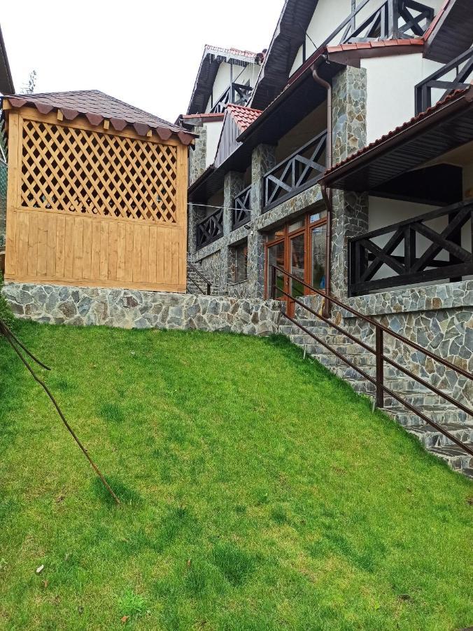 Brand New 2020 Specious Apartment Druzi 2 Palyanytsya Exterior foto