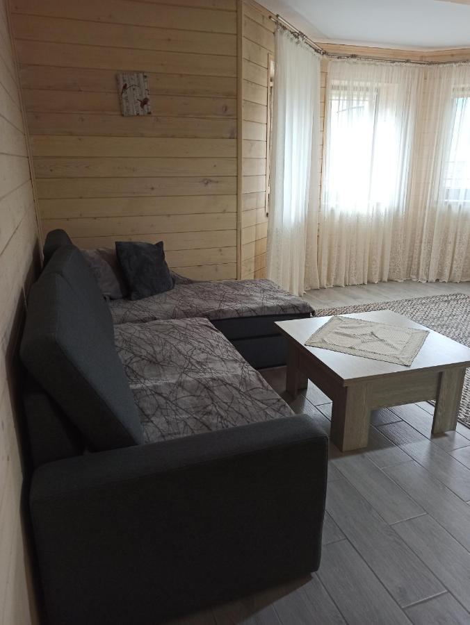 Brand New 2020 Specious Apartment Druzi 2 Palyanytsya Exterior foto