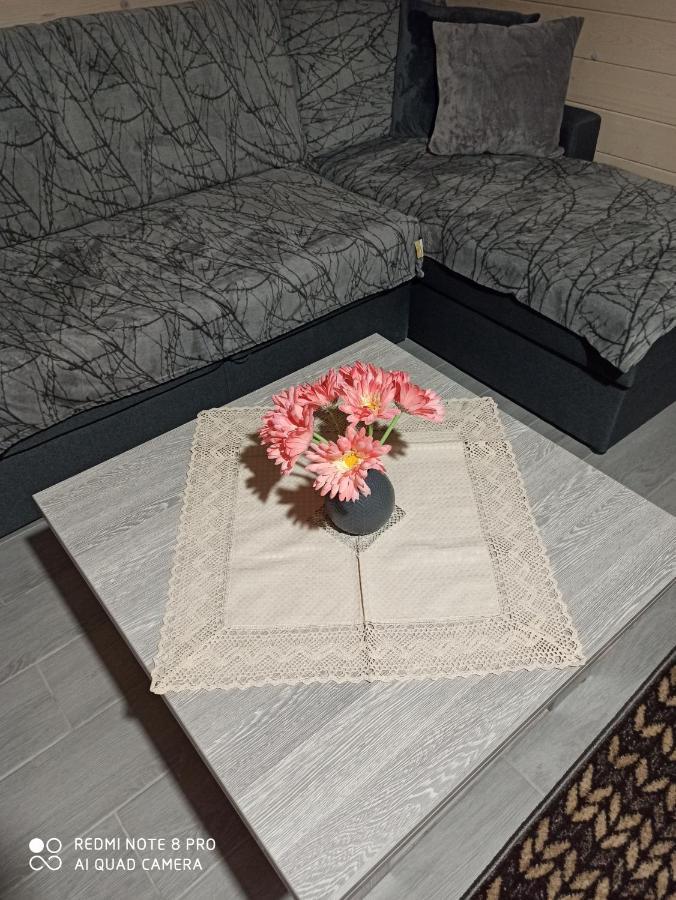 Brand New 2020 Specious Apartment Druzi 2 Palyanytsya Exterior foto